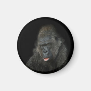 Imán Gorilla Biddy