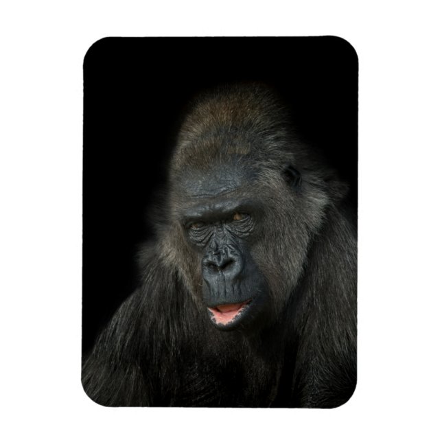 Imán Gorilla Biddy (Vertical)