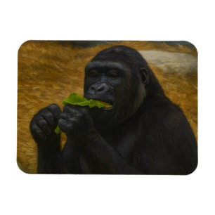 Imán Gorilla Grace - Retrato de vida salvaje realista