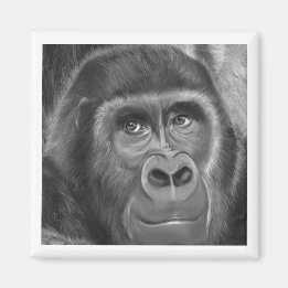 Imán Gorilla sucking fingers Magnet2指しゃぶりのゴリラマグネット