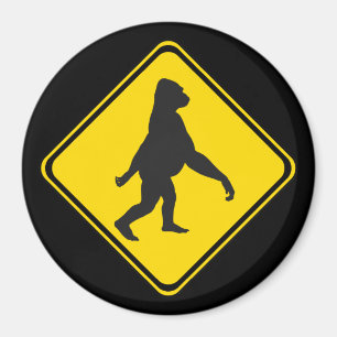 Imán ¡Gorilla Xing!