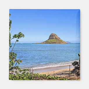 Imán Gorra chino-Oahu