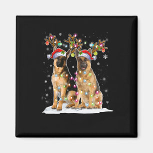 Imán Gorra de renos Santa Navidades de Malinois de Bélg