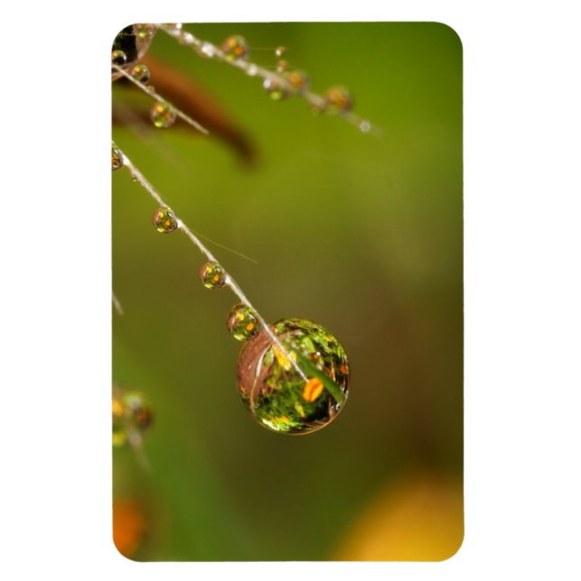 Imán Gota de agua en primer plano (Vertical)
