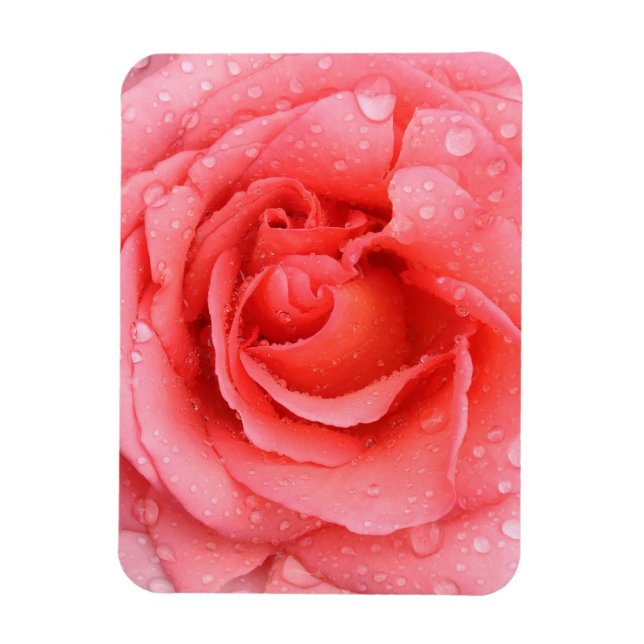 Imán Gotas de Agua de Rosa Roja Romántica (Vertical)