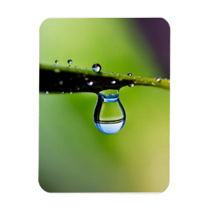 Imán Gotas de agua macro