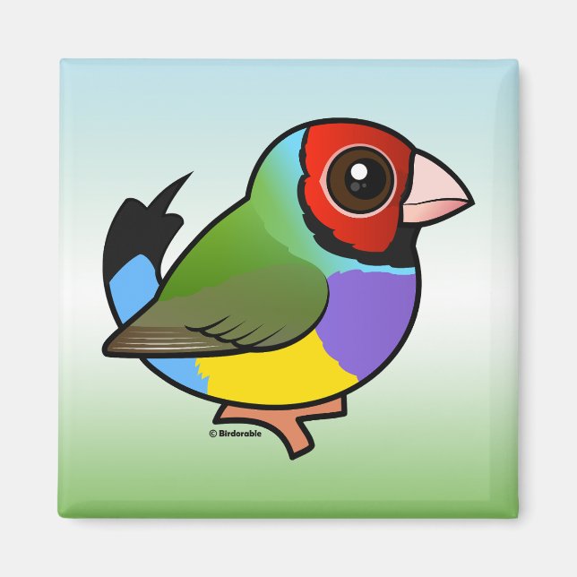 Imán Gouldian Finch (Frente)