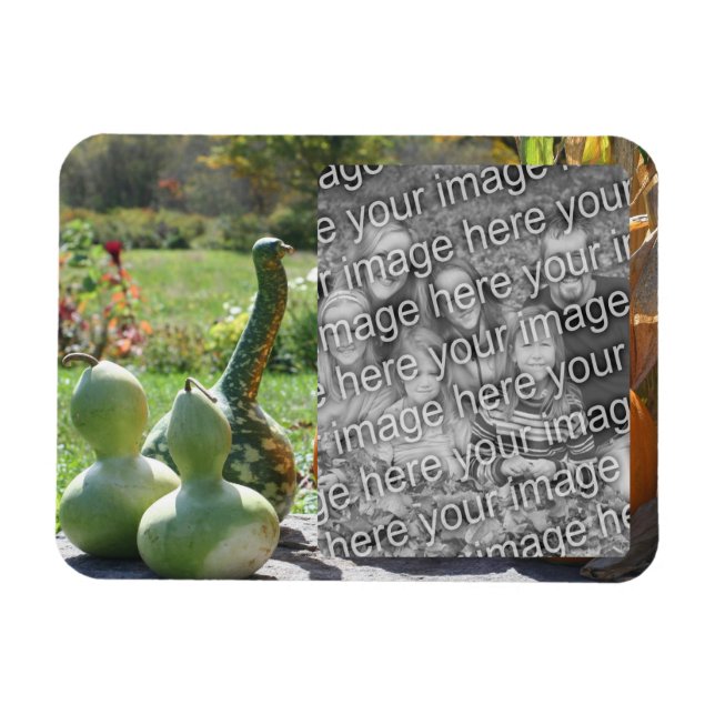 Imán Gouras Y Calabazas Caen Añadir Tu Foto (Horizontal)