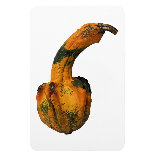 Imán Gourd Photo Magnet (Vertical)