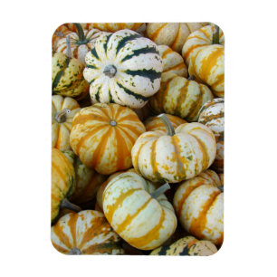 Imán Gourdes de cosecha de otoño verde y naranja