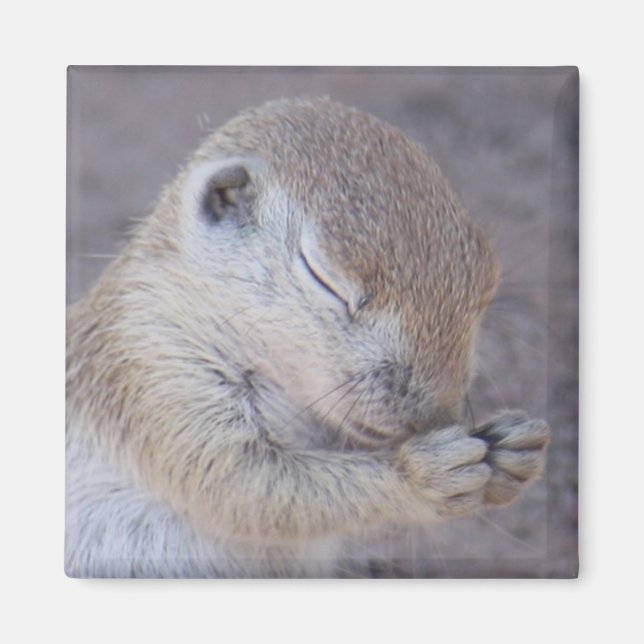 Imán Grace Magnet (Frente)