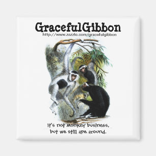 Imán Graceful Gibbon Magnet