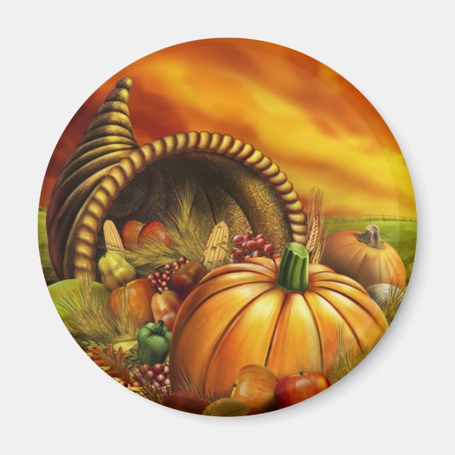 IMÁN GRACIAS 2009 (Frente)