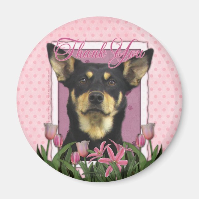 Imán Gracias - Australian Kelpie - Jude (Frente)