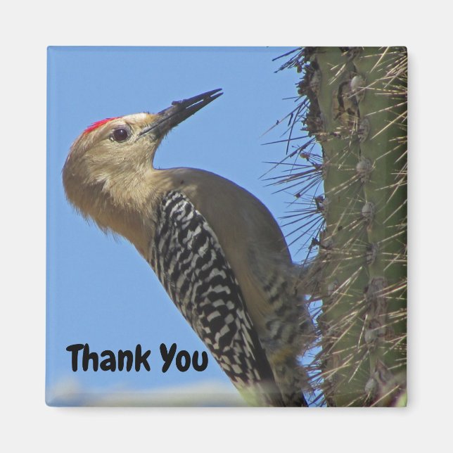 Imán Gracias Gila Woodpecker Photo Southwest Bird (Frente)