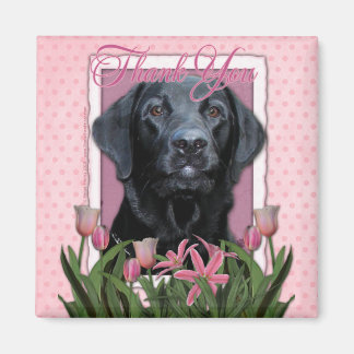 Imán Gracias - Labrador - Negro - Equipamiento