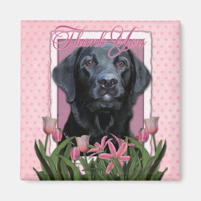 Imán Gracias - Labrador - Negro - Equipamiento (Frente)