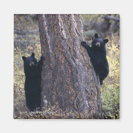 Imán Gracias regalo