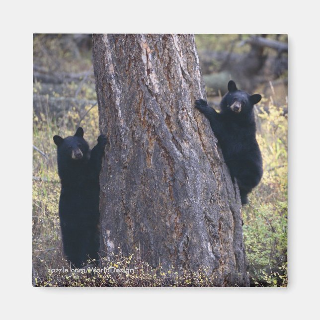 Imán Gracias regalo (Frente)