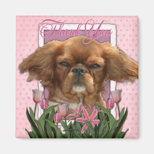 Imán Gracias - Rey Charles Cavalier - Ruby (Frente)