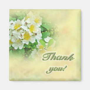 Imán Gracias Rosas Multiflora