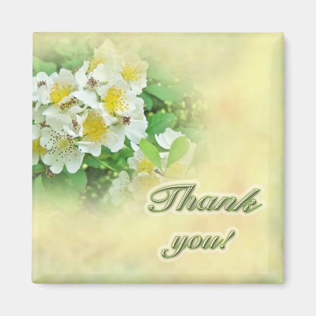 Imán Gracias Rosas Multiflora (Frente)