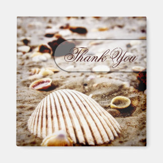 Imán Gracias Seashells Beach Magnet