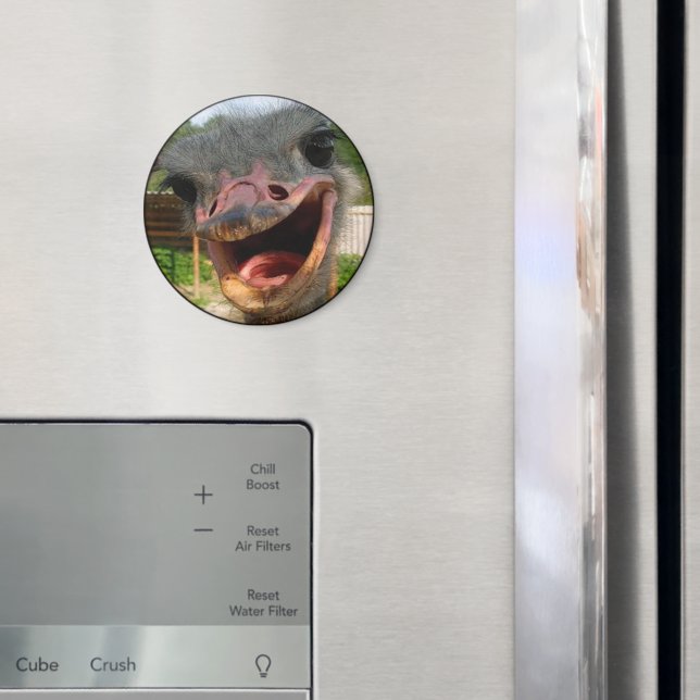 Imán Graciosa foto de pájaro de avestruz (In situ (nevera))