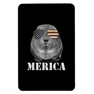 Imán Graciosa Guinea Cerdo Merica Patriótica Ue Glass D