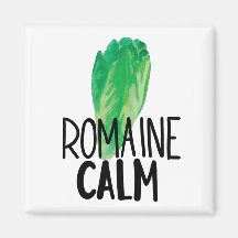 Graciosa lechuga acuarela Manget