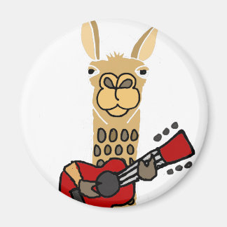 Imán Graciosa Llama tocando guitarra