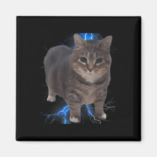 Imán Graciosa Oiia Oiia Meme de Gato Gato Gato Brainrot