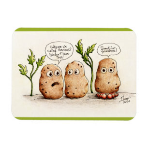 Imán Graciosa Papas de bollo