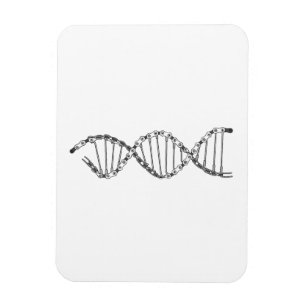 Imán Gracioso ADN Ciclismo Cadena de bicicleta Biciclet