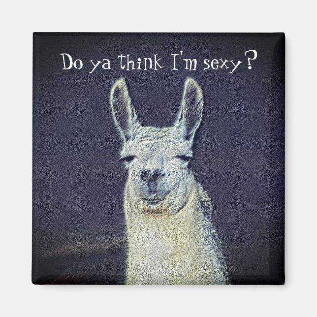 Imán Gracioso animal de la cara de llamada  (Frente)