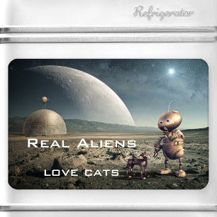 Imán Gracioso Fantasía Crazy Cat Alien Magnet