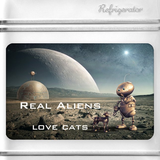 Imán Gracioso Fantasía Crazy Cat Alien Magnet (Funny space magnet featuring an image of a strange planet with a cute kitty talking to an alien.)