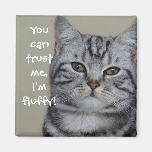 Imán Gracioso gato Caption Créeme, estoy nervioso (Frente)