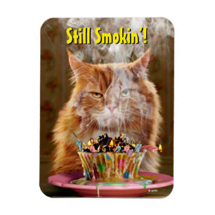Imán Gracioso Gato Cranky Con Pastel De Cumpleaños Fund