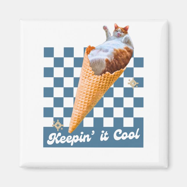 Imán Gracioso Gato Magnet (Frente)