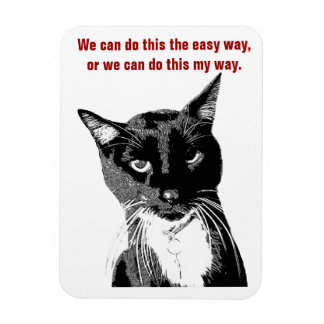 Imán Gracioso Gato Magnet