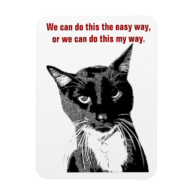 Imán Gracioso Gato Magnet (Vertical)
