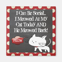 Gracioso gato "Puedo ser social"