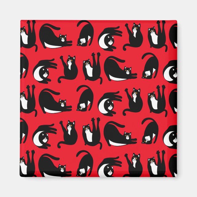 Imán Gracioso Gato Rojo Negro (Frente)