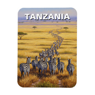 Imán Gracioso parque nacional Tanzania Serengeti Zebra
