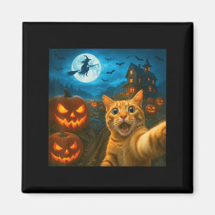 Imán Gracioso Selfie De Gato De Halloween Con Calabazas