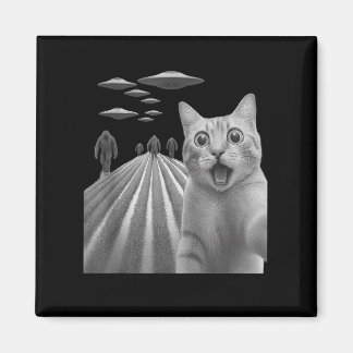 Imán Gracioso Sorprendido De Selfie De Gato Asustado Co