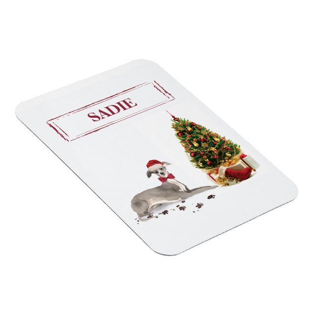 Imán Graciosos Navidades italianos de Greyhound con árb (Lado Derecho)
