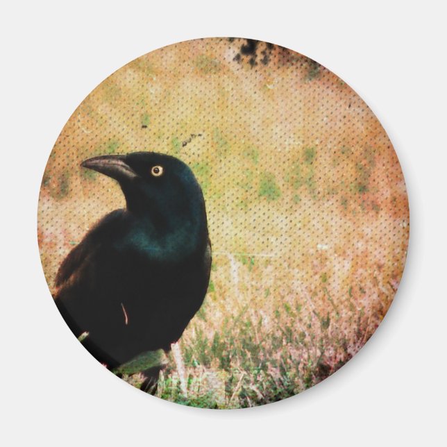 Imán Grackle 3 (Frente)