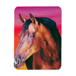 Imán Gradiente de caballo bayo